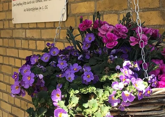 Hof Kirchhorst גרוס וויטנזה